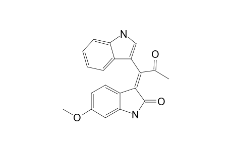 TRIGONOSTEMON_F