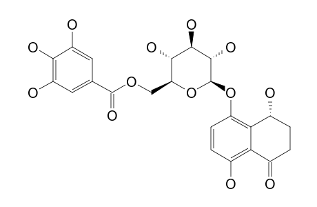 (4S)-4,5,8-TRIHYDROXY-ALPHA-TETRALONE-5-O-BETA-D-[6'-O-(3'',4'',5''-TRIHYDROXYBENZOYL)]-GLUCOPYRANOSIDE