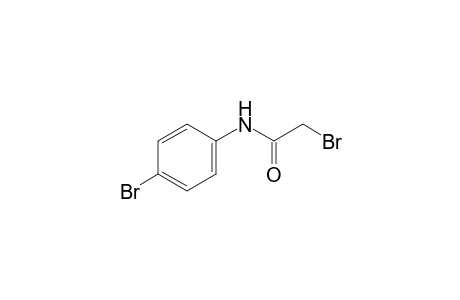 2,4'-dibromoacetanilide