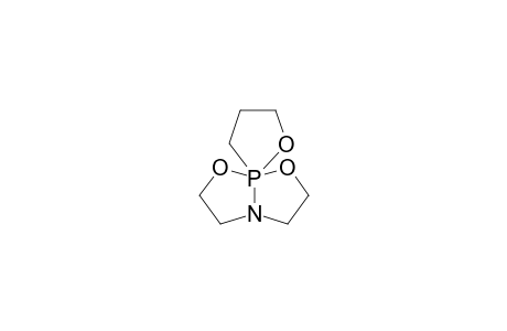 P-(1'-Oxacyclopentan-2'-yl)-5-aza-2,8-dioxa-1-phosphabicyclo[3.3.0]octane