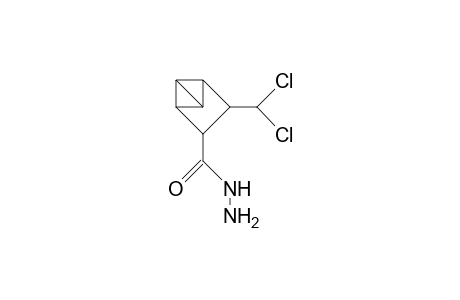 4-Dichloromethyl-tricyclo(3.1.0.0/2,6/)hexane-3-carboxylic acid, hydrazide