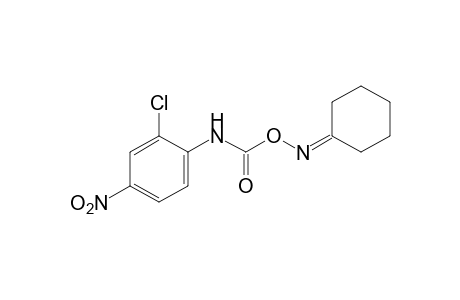 cyclohexanone, O-[(2-chloro-4-nitrophenyl)carbamoyl]oxime