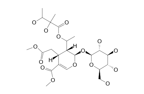 7-O-METHYL_GONOCARYOSIDE_D