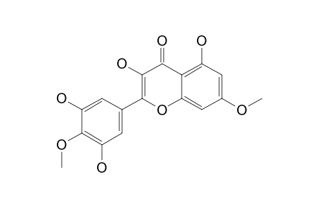 3,5,3',5'-TETRAHYDROXY-7,4'-DIMETHOXY-FLAVONE