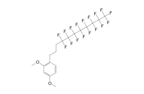 1-(4,4,5,5,6,6,7,7,8,8,9,9,10,10,11,11,11-HEPTADECAFLUOROUNDECYL)-2,4-DIMETHOXYBENZENE