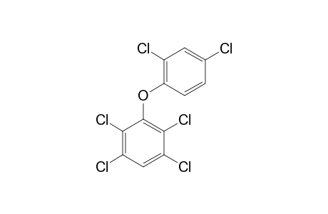 2,3,5,6,2',4'-HEXACHLORODIPHENYLETHER