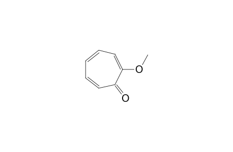 2-METHOXYTROPONE