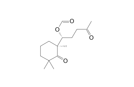 Tsangane H