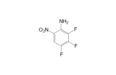 2,3,4-Trifluoro-6-nitroaniline