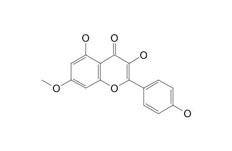 Rhamnocitrin