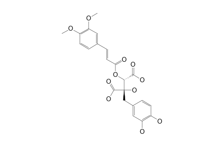 CIMICIFUGIC_ACID_G;(2-R,3-S)-2-O-(3',4'-DIMETHOXY-E-CINNAMOYL)-3-HYDROXY-3-[(3'',4''-DIHYDROXYPHENYL)-METHYL]-BUTENEDIOIC_ACID