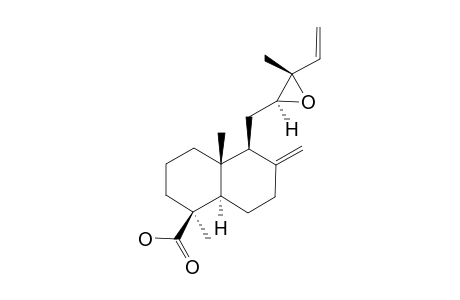 FOKIHODGIN_H;(12-S,13-S)-12,13-EPOXYLABDA-8-(17),14-DIEN-19-OIC_ACID