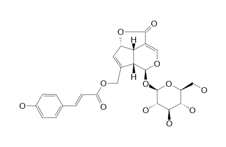 10-O-COUMAROYL-10-O-DEACETYL-ASPERULOSIDE