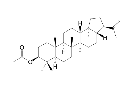 3-BETA-ACETOXY-21-ALPHA-H-HOP-22(29)-ENE