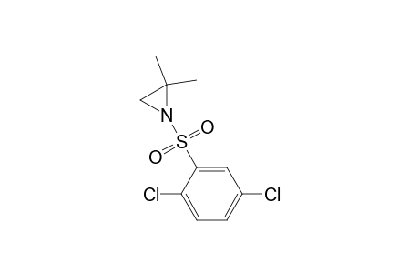 Aziridine, 1-[(2,5-dichlorophenyl)sulfonyl]-2,2-dimethyl-