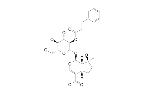 2'-CINNAMOYL-MUSSAENOSIDIC-ACID