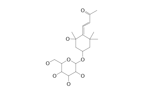 AUSTROSIDE_B