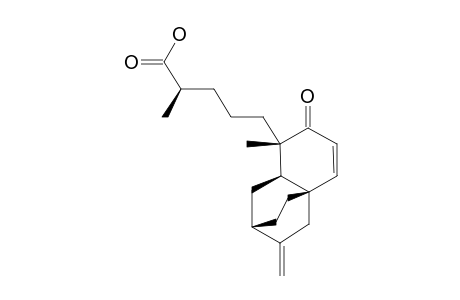 PLATENCIN_SL6