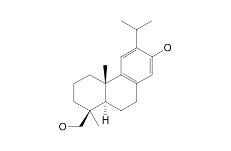 TROGOPTEROID_F