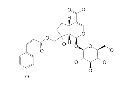 10-PARA-CIS-COUMAROYL-1-S-DIHYDROMONOTROPEIN