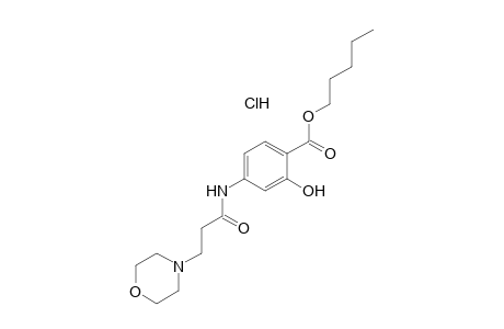 4-(3-MORPHOLINOPROPIONAMIDO)SALICYLIC ACID, PENTYL ESTER, HYDROCHLORIDE