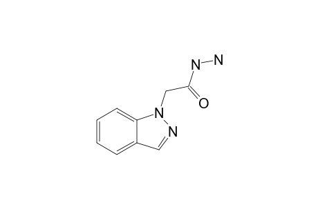 1-ACETYLHYDRAZINE-1H-INDAZOLE