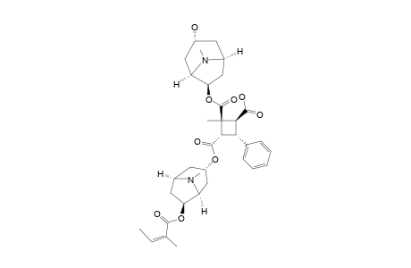 GRAHAMINE_A;2-{[(3-ALPHA-HYDROXYTROPO-6-BETA-YL)-OXY]-CARBONYL}-2-METHYL-3-{[((6-BETA-ANGELOYLOXY)-3-ALPHA-YL)-OXY]-CARBONYL}-4-PHENYLCYCLO