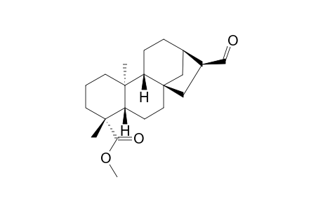 METHYL-ENT-17-OXO-KAURAN-19-OATE