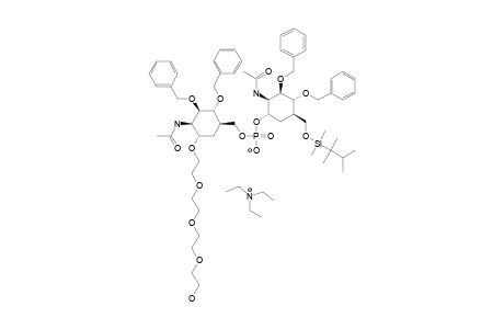 #12;2-[2-[2-[2-(HYDROXY)-ETHOXY]-ETHOXY]-ETHYL-6-O-(2-ACETAMIDO-3,4-DI-O-BENZYL-2-DEOXY-6-O-THEXYLDIMETHYLSILYL-5A-CARBA-ALPHA-D-MANNOPYRANOSYL-PHOSPHONATO)-2-