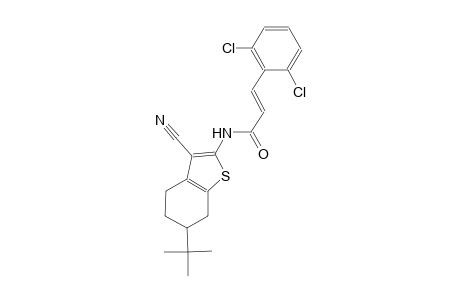 (2E)-N-(6-tert-butyl-3-cyano-4,5,6,7-tetrahydro-1-benzothien-2-yl)-3-(2,6-dichlorophenyl)-2-propenamide