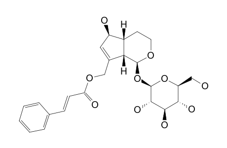 SINTENOSIDE