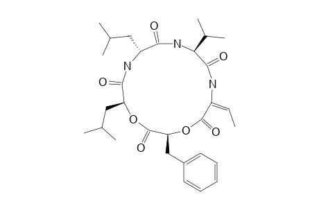 PHOMALIDE