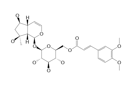 6'-(3,4-DIMETHOXY-CINNAMOYL)-AJUGOL