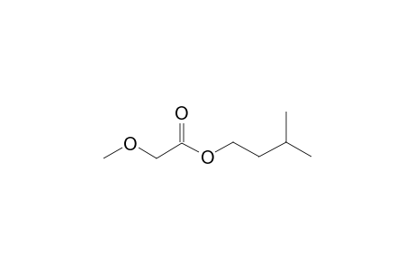 Isopentyl methoxyacetate