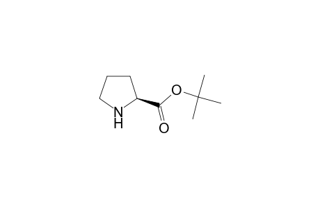 L-Proline tert-butyl ester