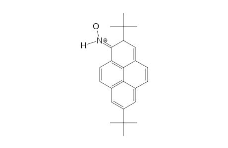 2,7-DI-TERT.-BUTYL-1-HYDROXYIMINIUMPYRENIUM-DICATION