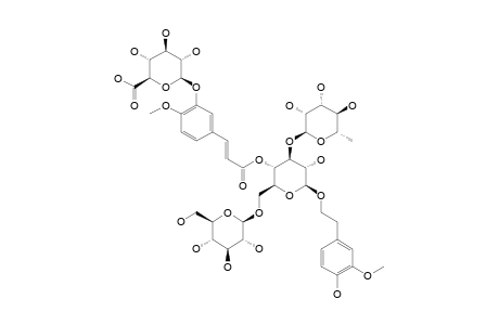 #M1;2-(3-METHOXY-4-HYDROXYPHENYL)-ETHYL-O-ALPHA-L-RHAMNOPYRANOSYL-(1->3)-[BETA-D-GLUCOPYRANOSYL-(1->6)]-[4-[2E-3-(3-O-BETA-D-GLUCURONIC-ACID-4-METHOXYPHENYL)-2