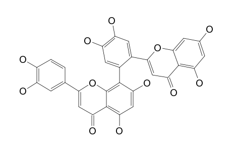 BIS-6',8-(3',4',5,7-TETRAHYDROXY-FLAVONE)