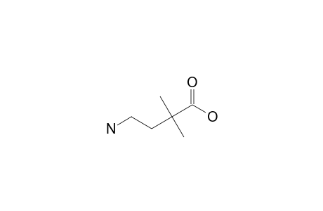 4-AMINO-2,2-DIMETHYL-BUTYRIC-ACID