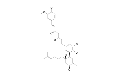 TERPECURCUMIN_H