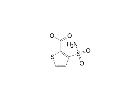 2-Thiophenecarboxylic acid, 3-(aminosulfonyl)-, methyl ester