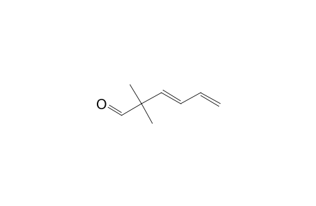 (3E)-2,2-DIMETHYL-3,5-HEXADIENAL