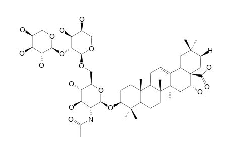 3-O-[ALPHA-L-ARABINOPYRANOSYL-(1->2)-ALPHA-L-ARABINOPYRANOSYL-(1->6)-2-ACETAMIDO-2-DEOXY-BETA-D-GLUCOPYRANOSYL]-ECHINOCYSTIC-ACID