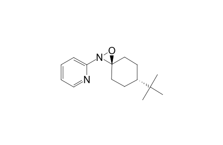 (TRANS)-6-TERT.-BUTYL-2-PYRIDYL-1-OXA-2-AZASPIRO-[2.5]-OCTANE