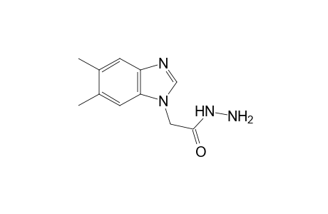 5,6-dimethyl-1-benzimidazoleacetic acid, hydrazide