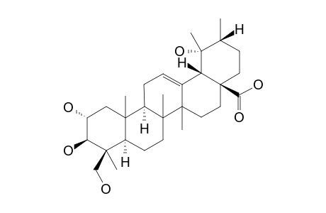 2-ALPHA,3-BETA,23,19-ALPHA-TETRAHYDROXY-URS-12-EN-28-OIC-ACID