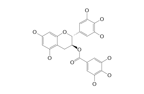 GALLOCATECHIN-3-O-GALLATE