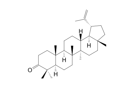 LUPENON