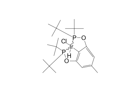 PARA-ME-PCP-IR-HCL