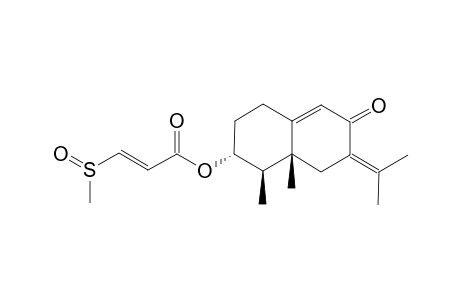 PETASONE_A